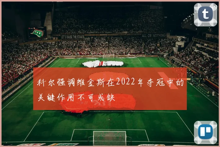 科尔强调维金斯在2022年夺冠中的关键作用不可或缺