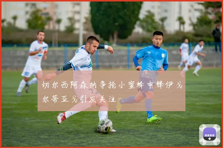 切尔西阿森纳争抢小蜜蜂中锋伊戈尔蒂亚戈引发关注