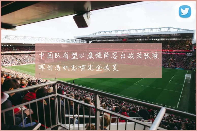 中国队有望以最强阵容出战若张瑷晖刘浩帆彭啸完全恢复